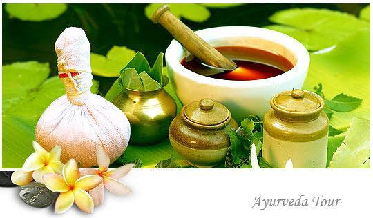 5 Botanical Ingredients That Transform Your Skin