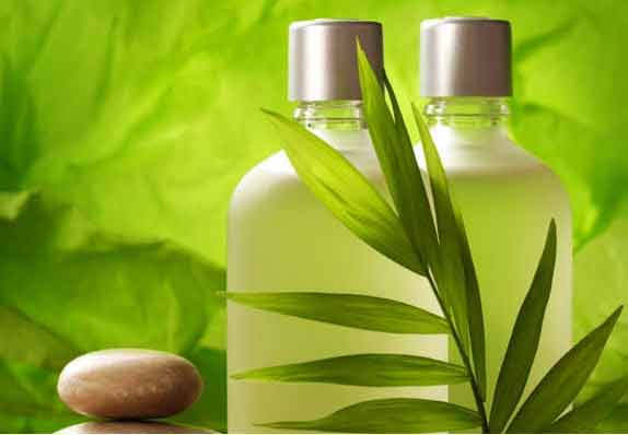 Herbal ingredients beside skincare jar — Face Care collection